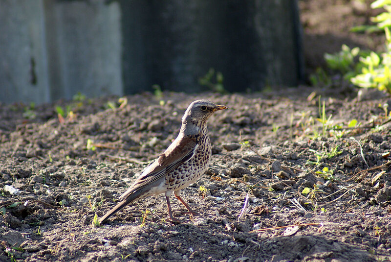 -Так-так-так, что у нас тут?