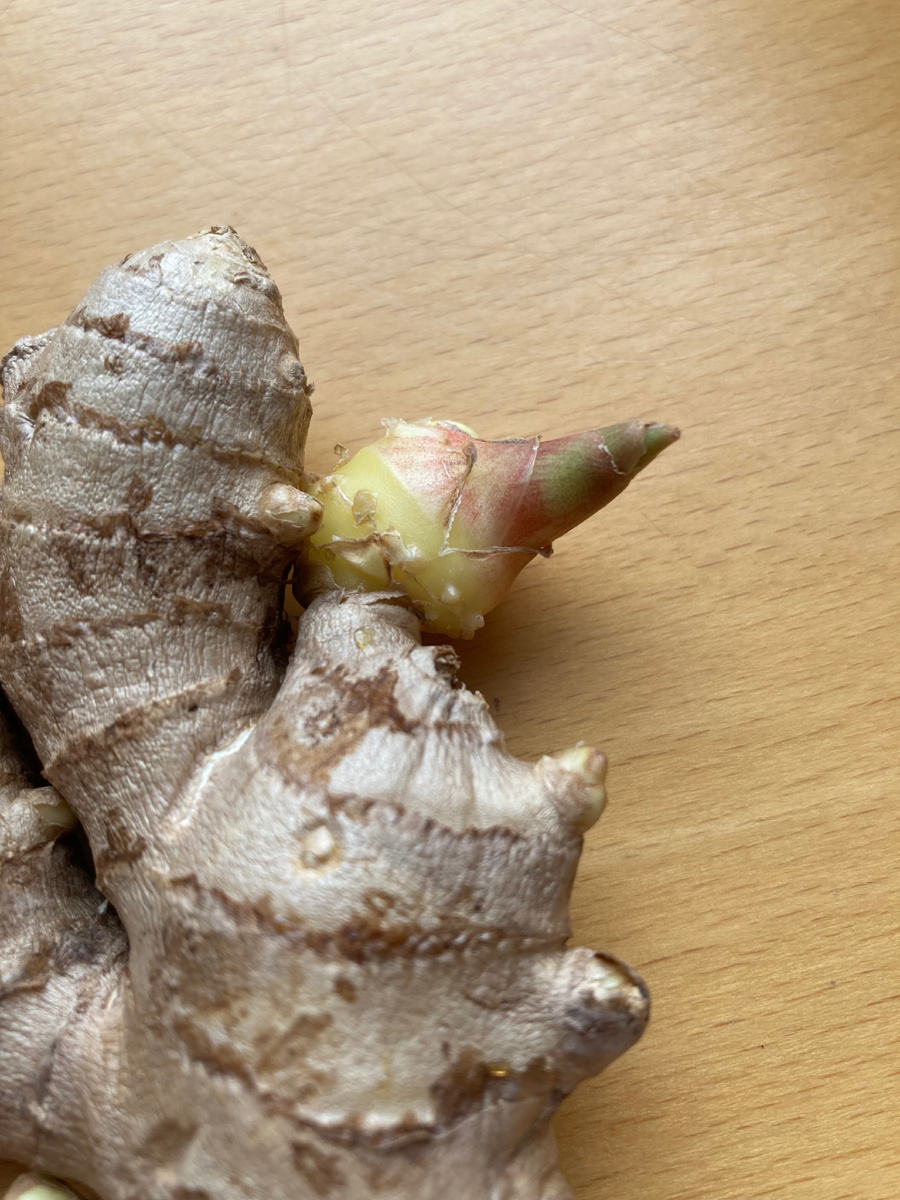 И росточек зелененький, и бугорки корней, милота!