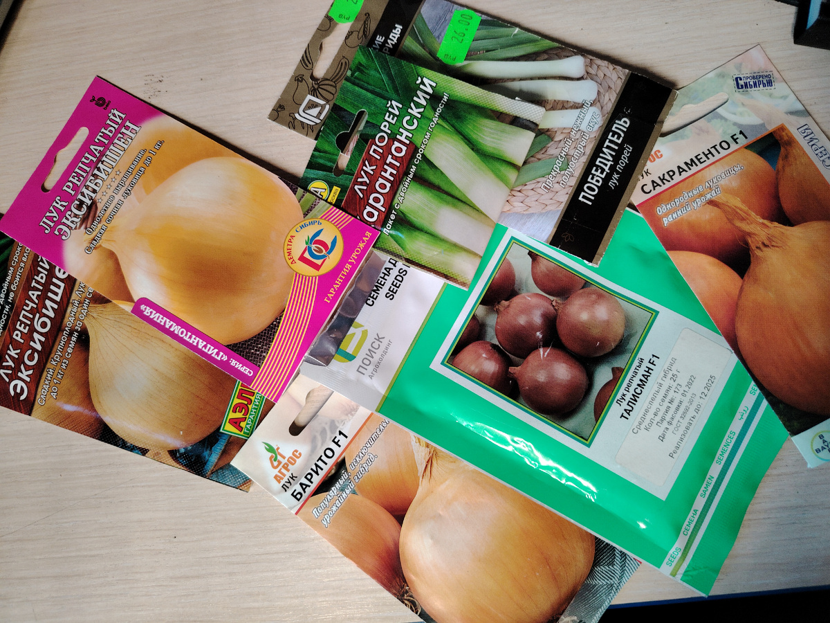 Семеня лука репчатого и лука - порея