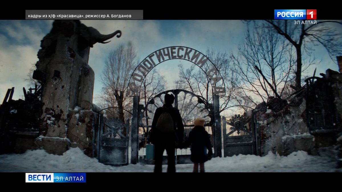 Источник: https://news-altay.ru/img/20260220/4a1cb640224e68fe09cbca3bf3ec1150_o.jpg