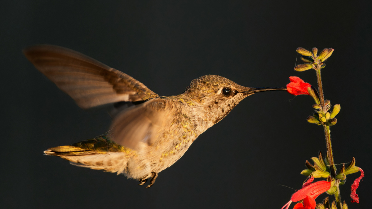 Photo by Patrick Bigelow on Unsplash