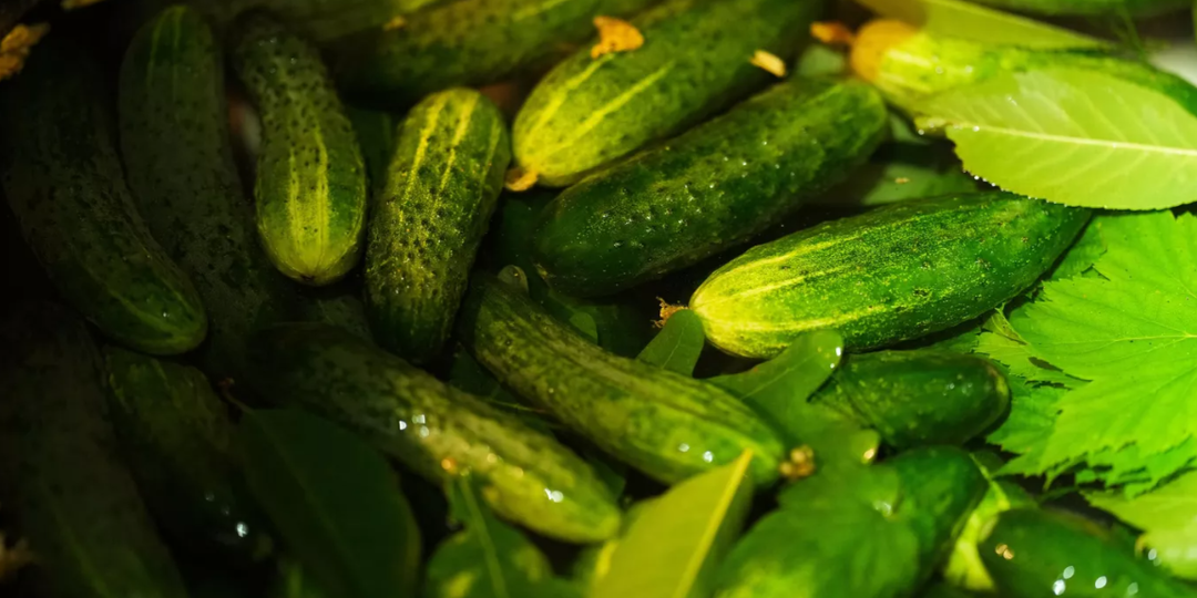 Дикие цены на огурцы в Кемерове привлекли внимание антимонопольщиков