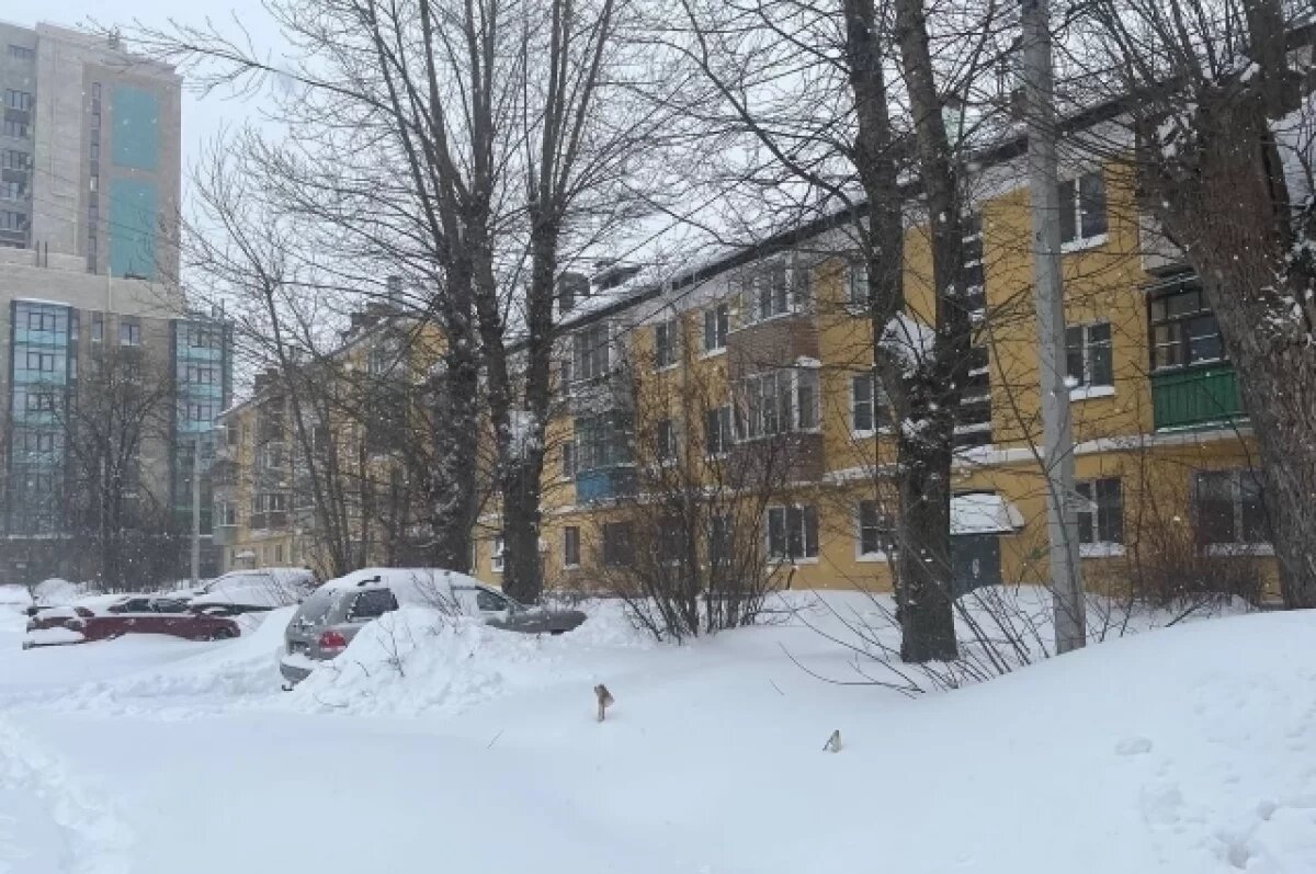    21 февраля в Туле прогнозируют порывистый ветер и небольшой снег