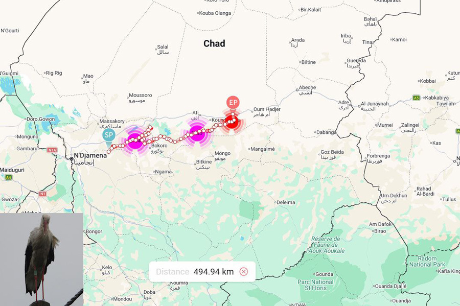    Фото: Grupa EkoLogiczna / Facebook