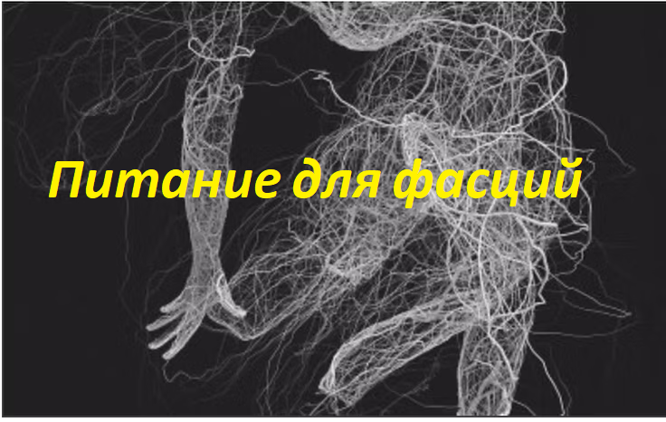 Фото из Сети