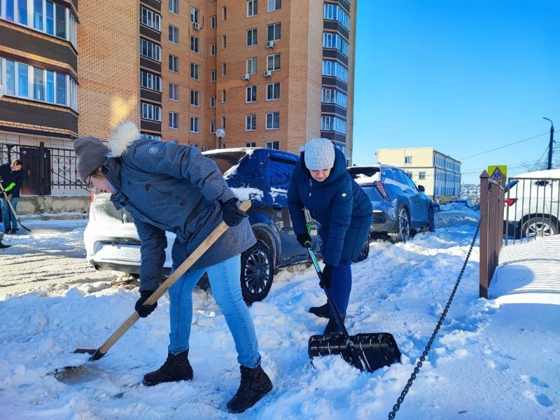     © фото - Минсельхоз Курской области