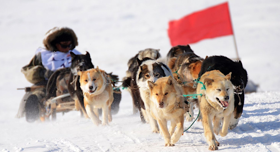 Фото: ИА «Чукотка». Источник: prochukotku.ru