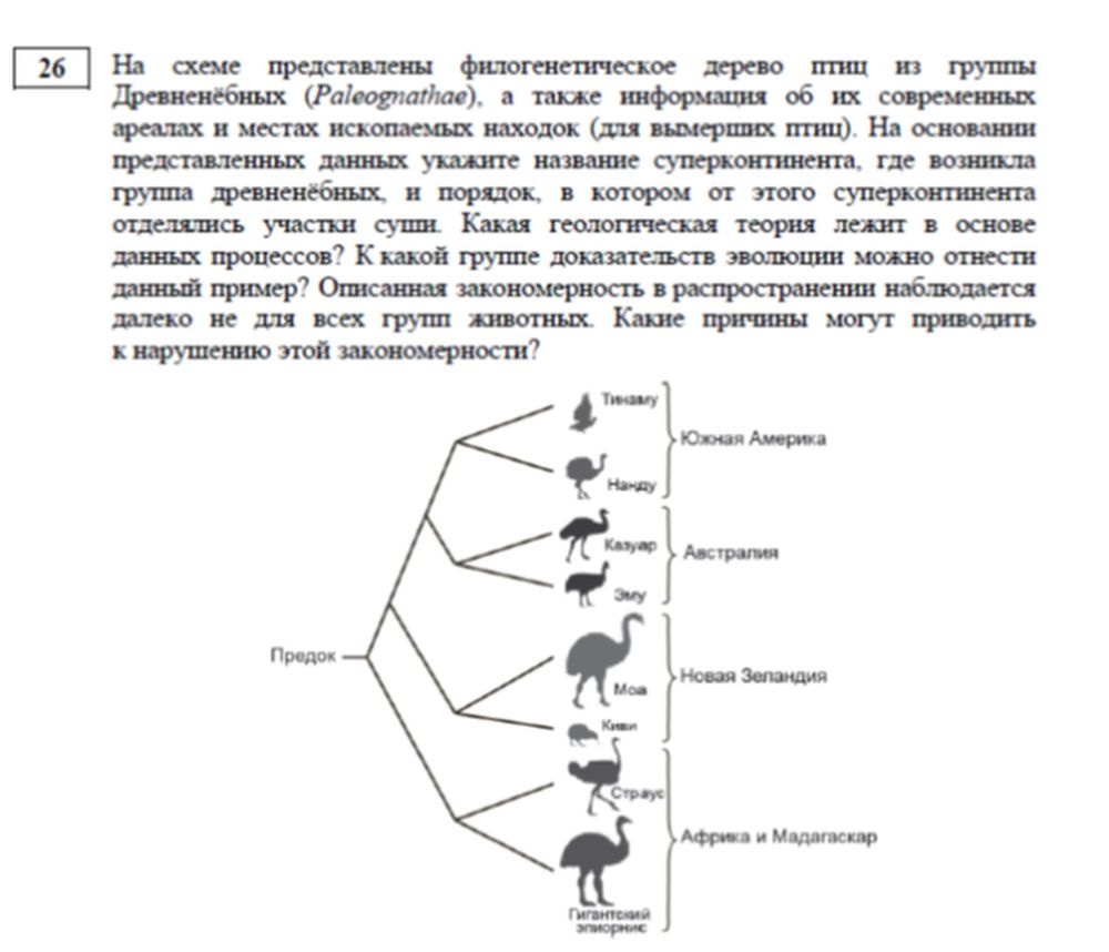    Демонстрационный вариант ЕГЭ по биологии 2026 г. / Фото: официальный сайт ФИПИ