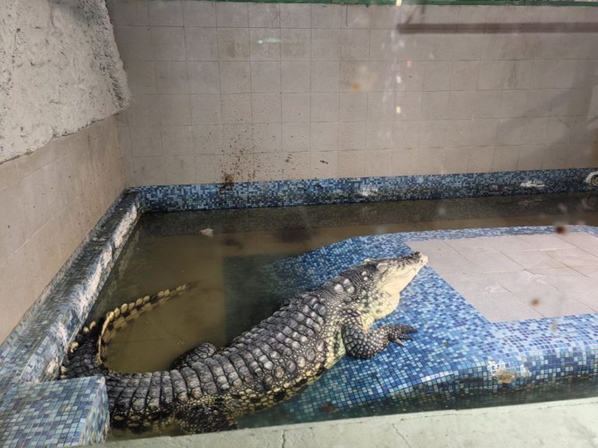 Фото: пресс-служба Уральского межрегионального управления Россельхознадзора  📷
