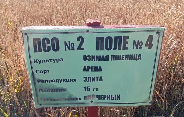    Фото: Служба по связям с общественностью филиала «Донецкий» Российского сельскохозяйственного центра