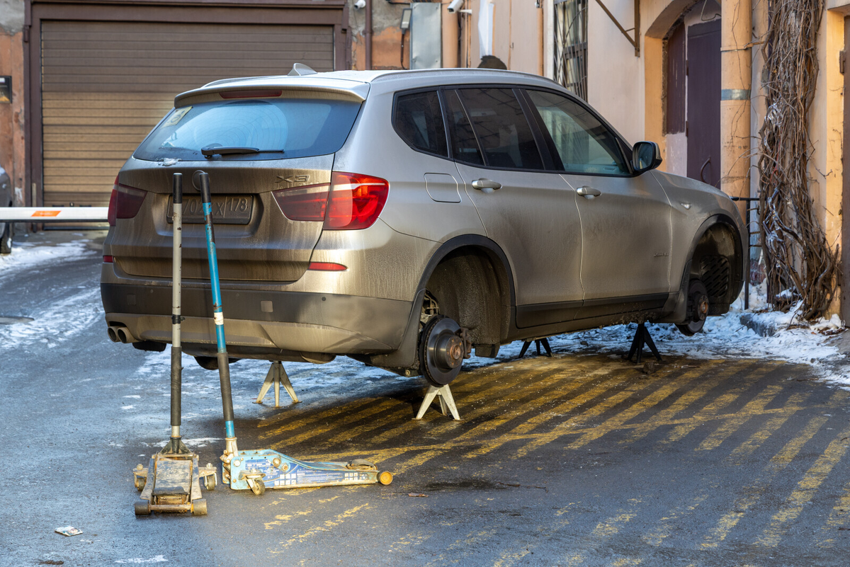 Фото: Олег Золото / «Вечерний Санкт-Петербург»