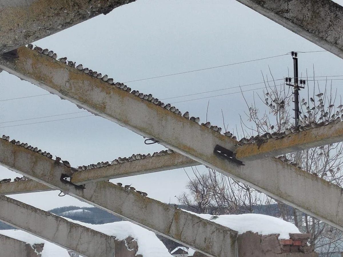 Владимир Муринов фотосы