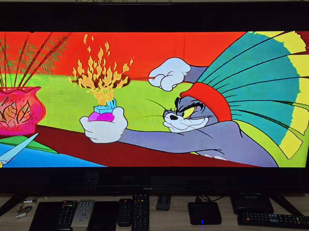 Фото: Донская газета