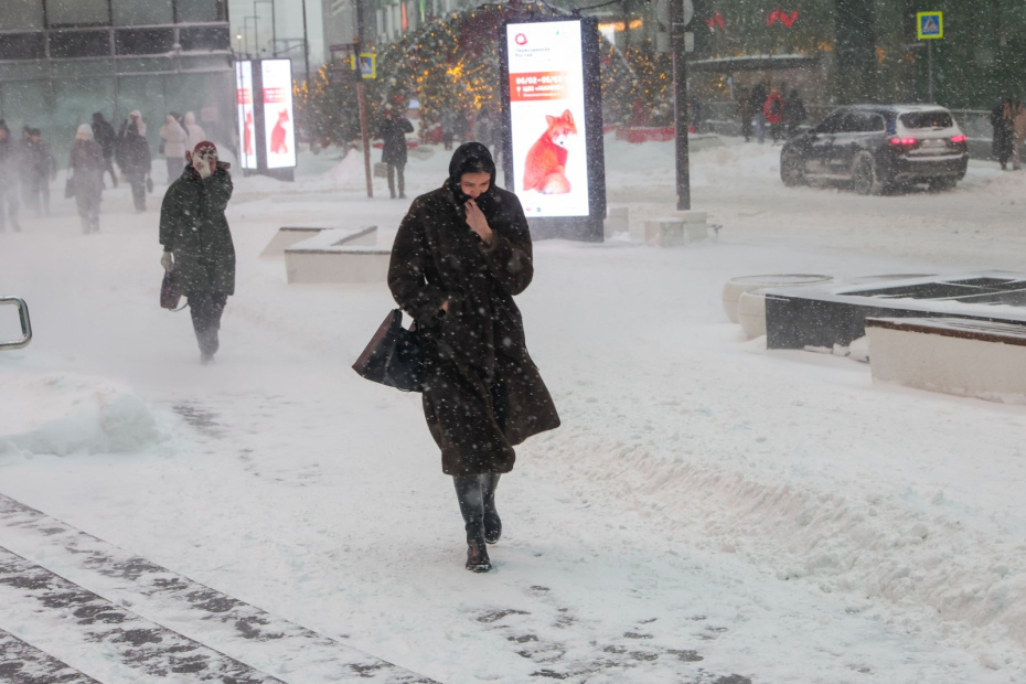    Наталья Шатохина/NEWS.ru