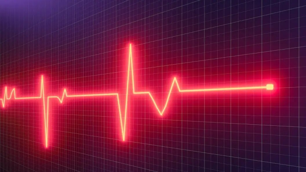    Фото: shutterstock