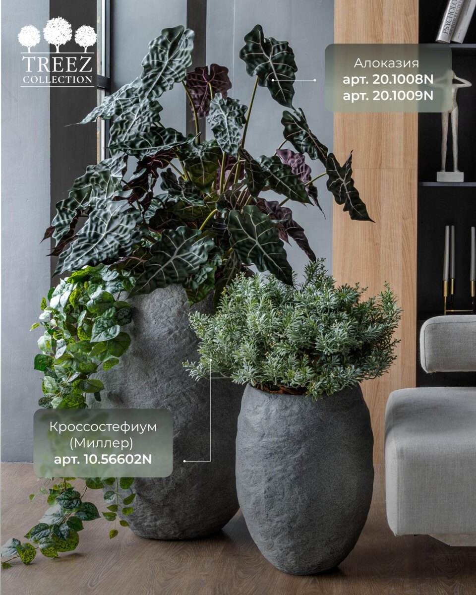 Кашпо и растения TREEZ Collection