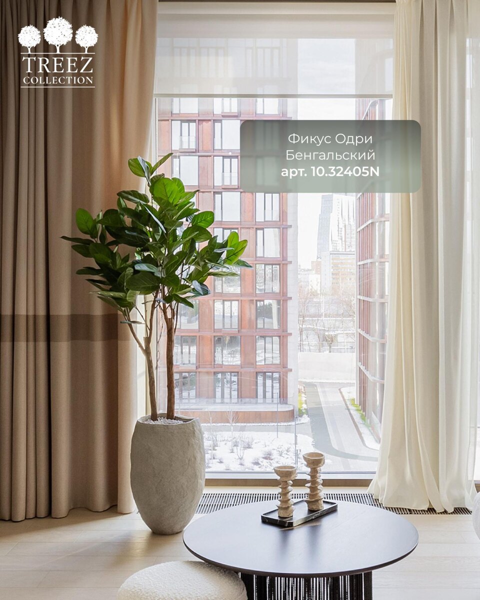 Кашпо и растения TREEZ Collection