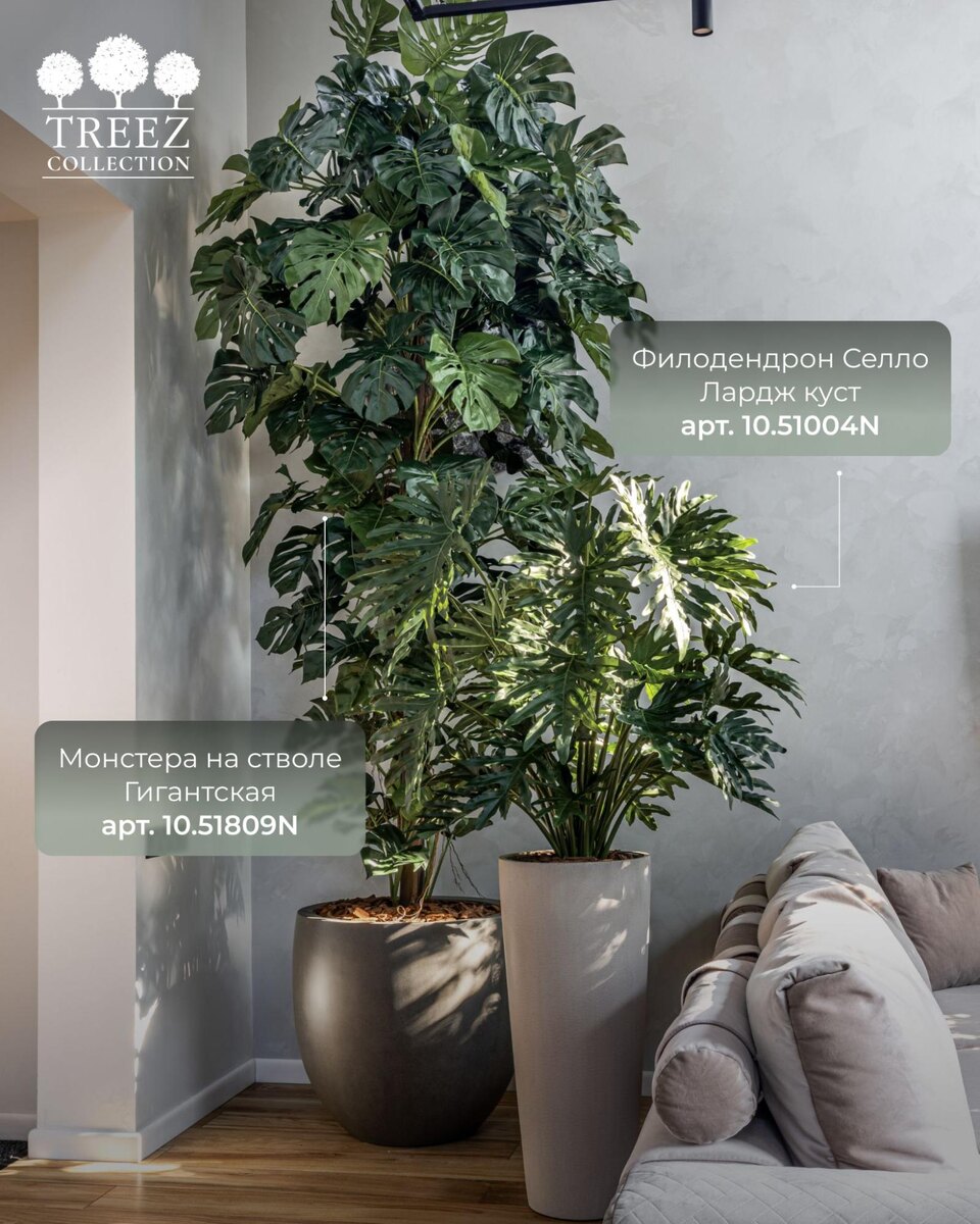 Кашпо и растения TREEZ Collection