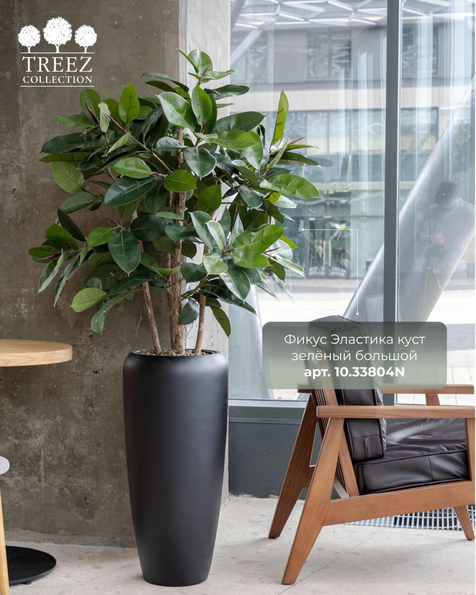 Кашпо и растения TREEZ Collection