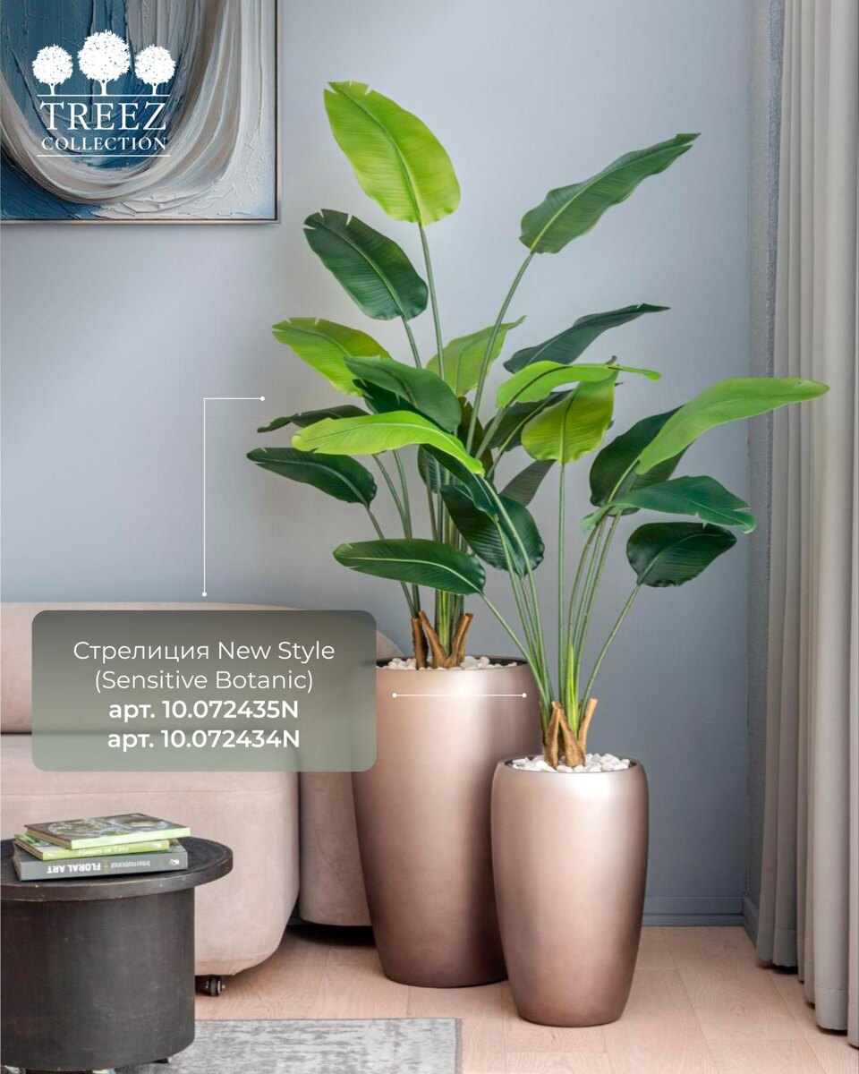 Кашпо и растения TREEZ Collection