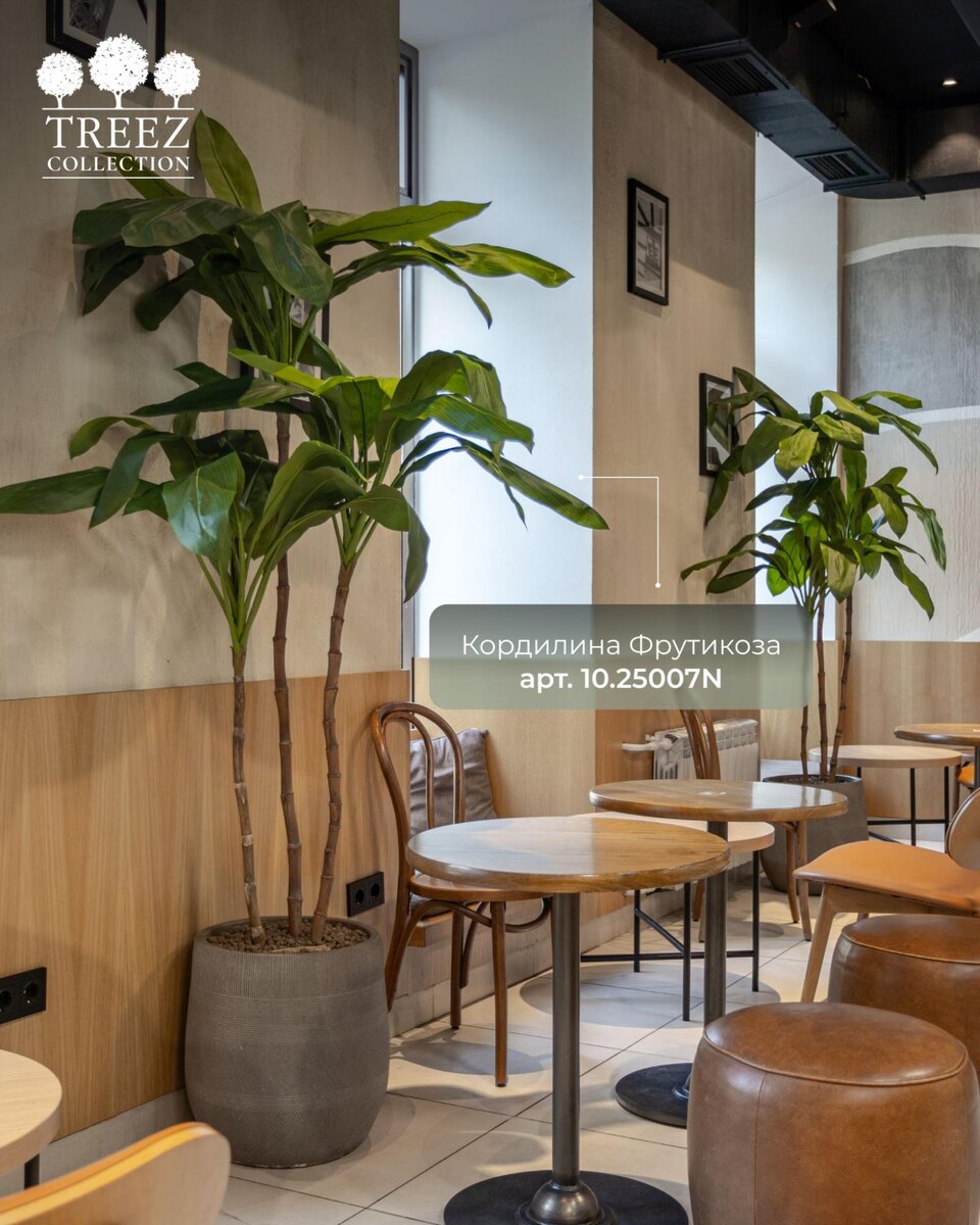 Кашпо и растения TREEZ Collection