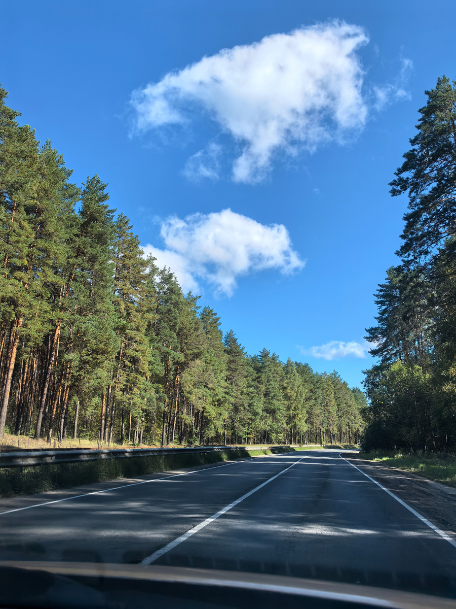 Как только выехали из города, началась удивительно красивая дорога - извилистая, окружённая сосновым лесом. 