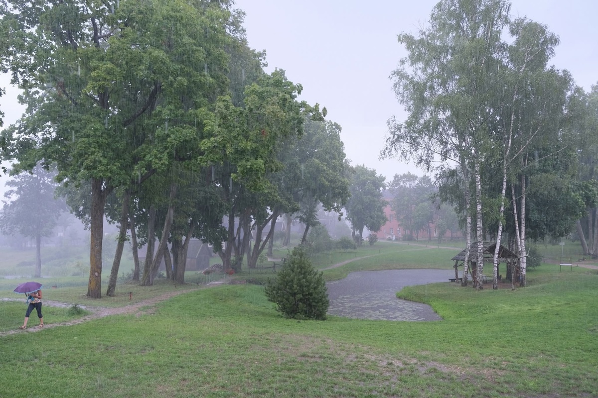 Вот такое вот литовское лето