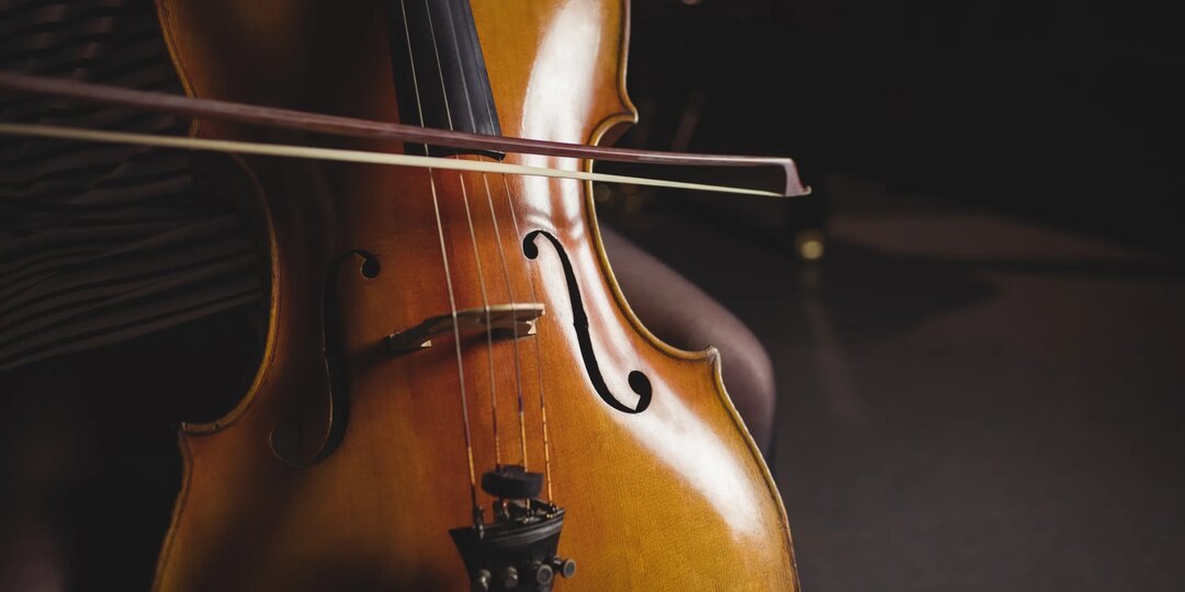 Казахстанские виолончелисты триумфально выступили на конкурсе имени В. Я. Шпета в Омске