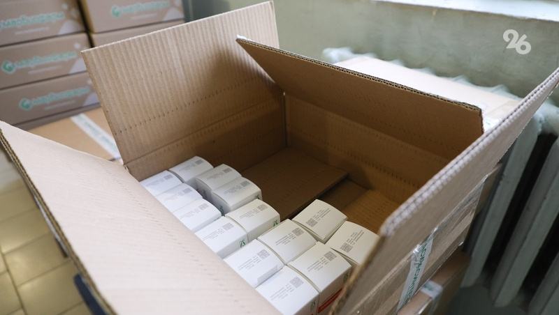      Фото: Дмитрий Ахмадуллин / / ИА «Победа26»