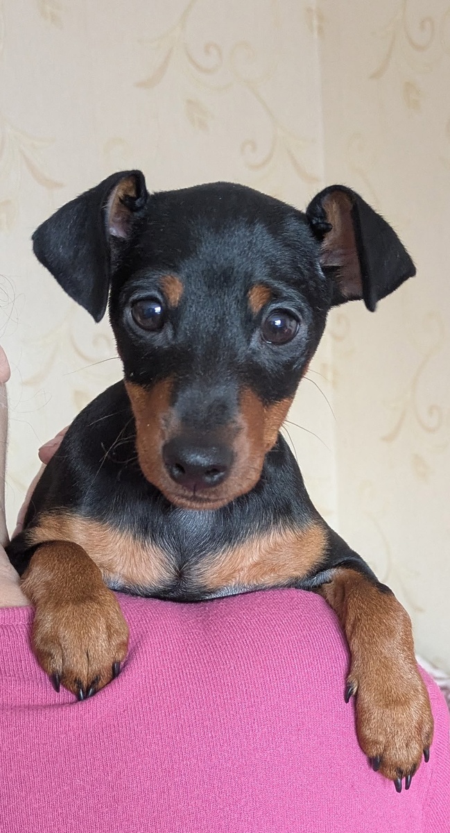 В этих глазках можно утонуть