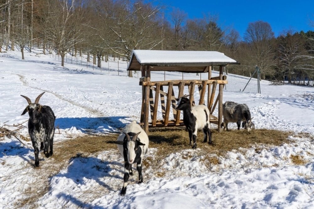    Любая помощь человеку должна быть не вместо природы, а в помощь природе. Фото: istockphoto.com