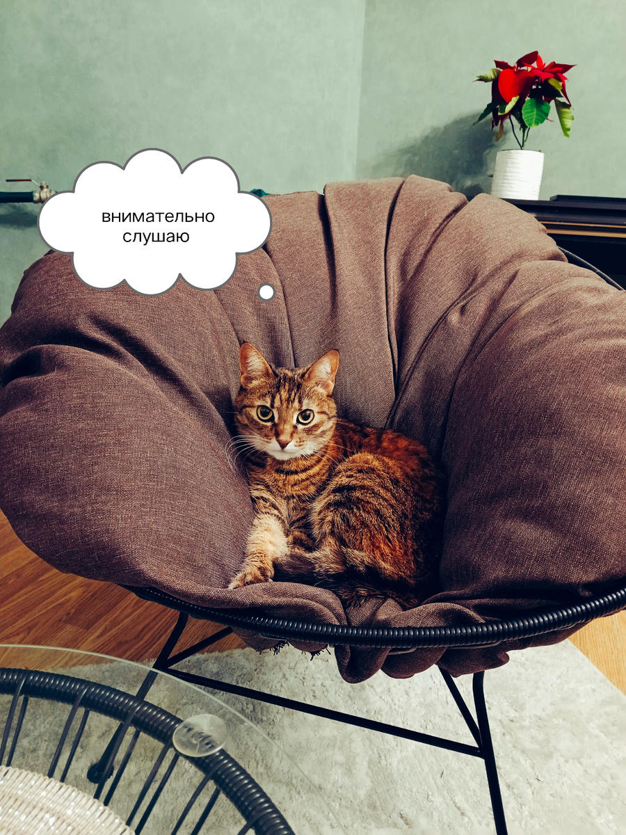 Изображение создано автором канала "ГерАтриум"