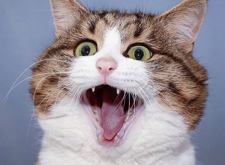 Отработала 5 смен за 4 дня