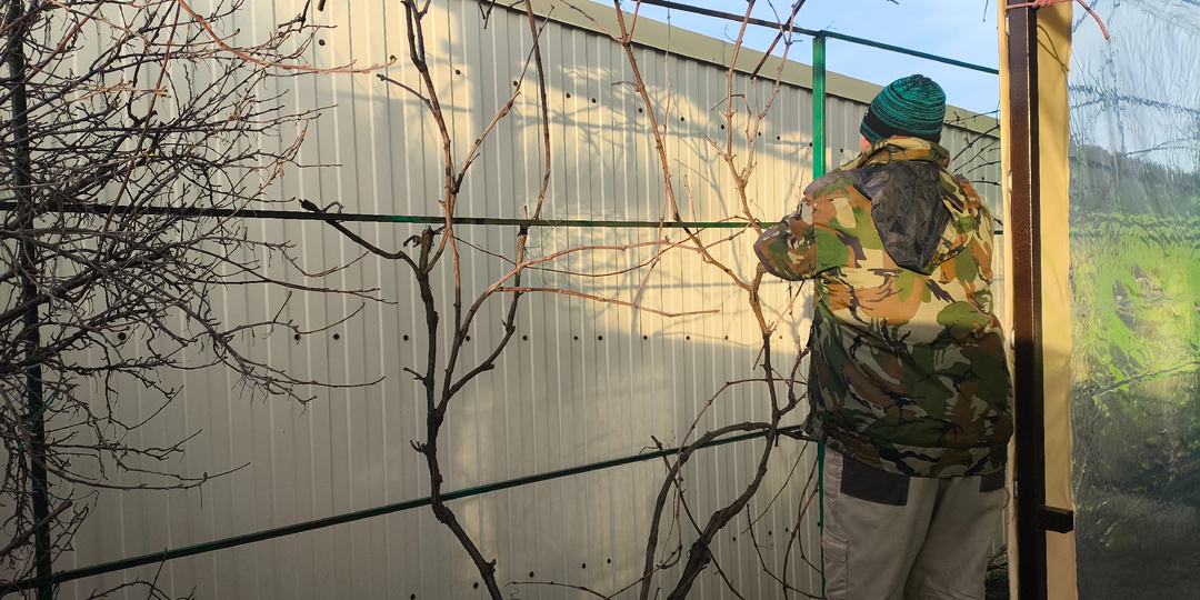 Дела садовые