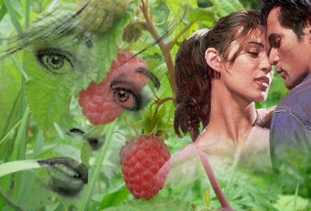 Сладка ягода - горькая судьба