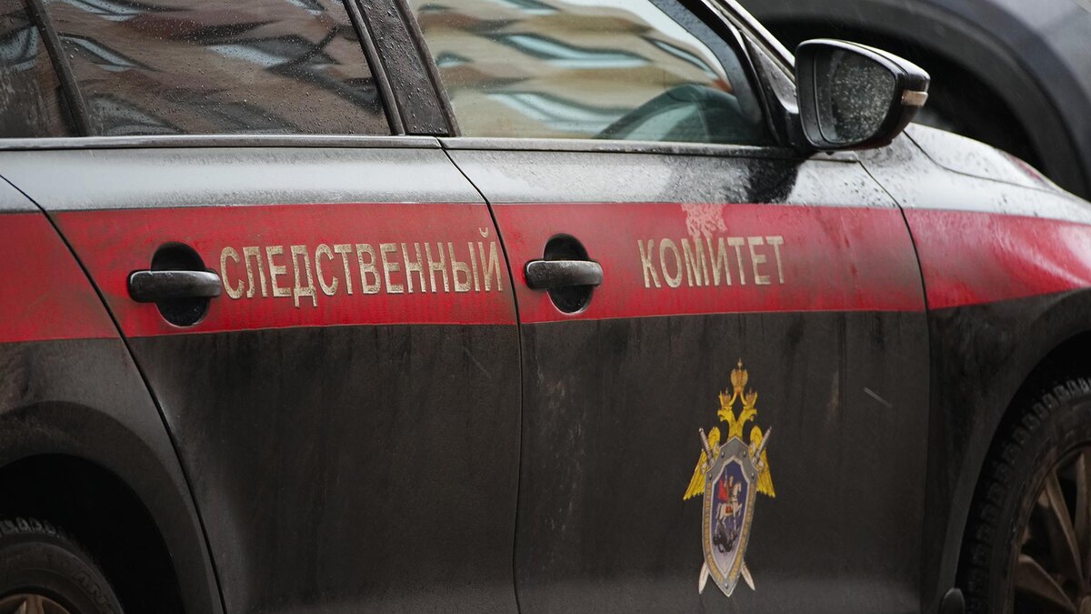    Фото: ИЗВЕСТИЯ/Сергей Лантюхов