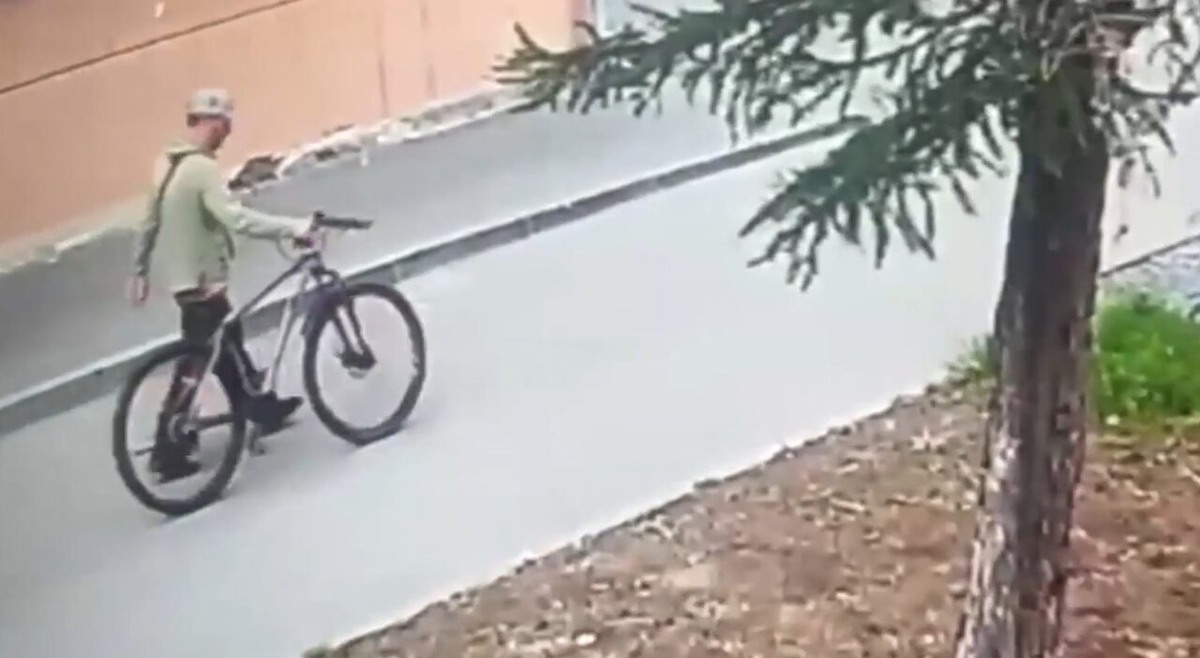    Фото: МВД Карелии