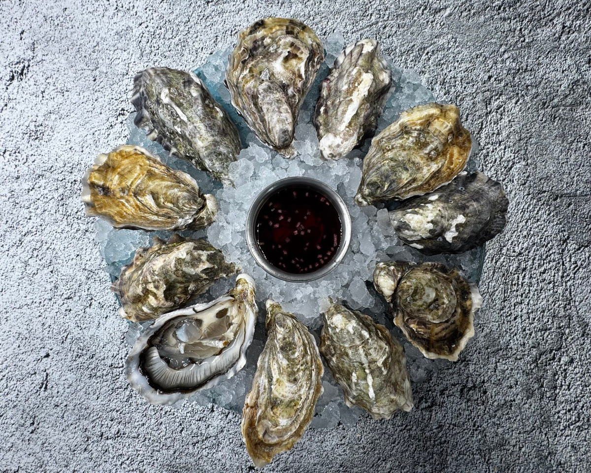 Устрица Белый Жемчуг