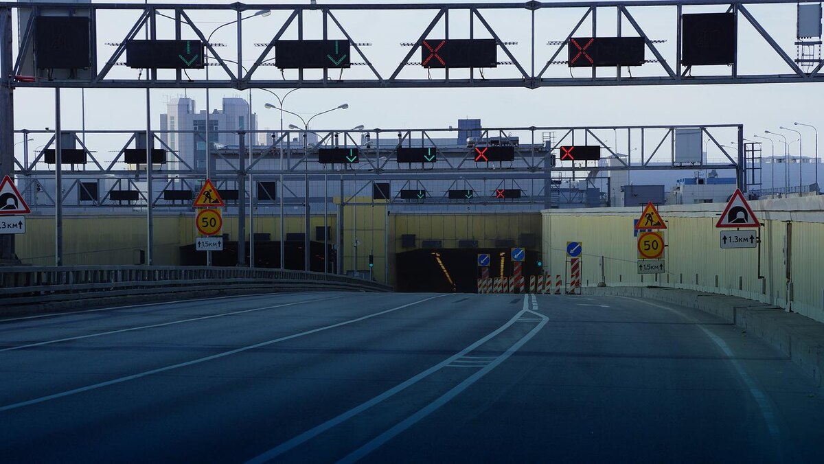    Фото: vk.com/damba_spb