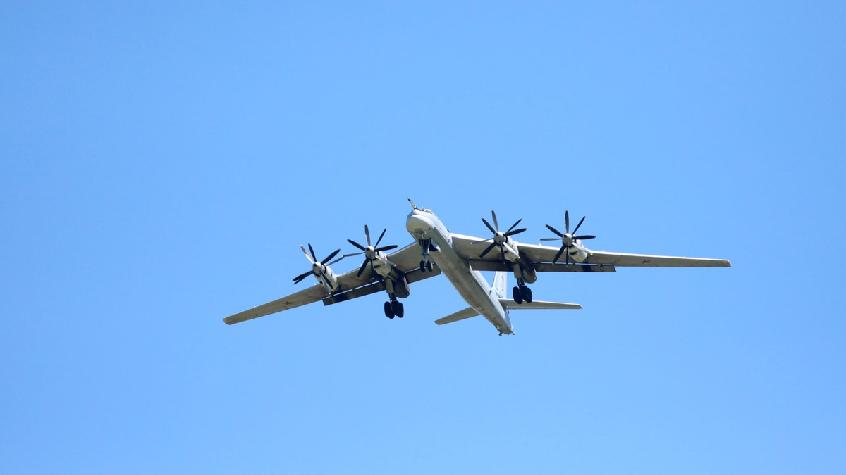    Стратегический бомбардировщик-ракетоносец Ту-95МС 2022 РИА