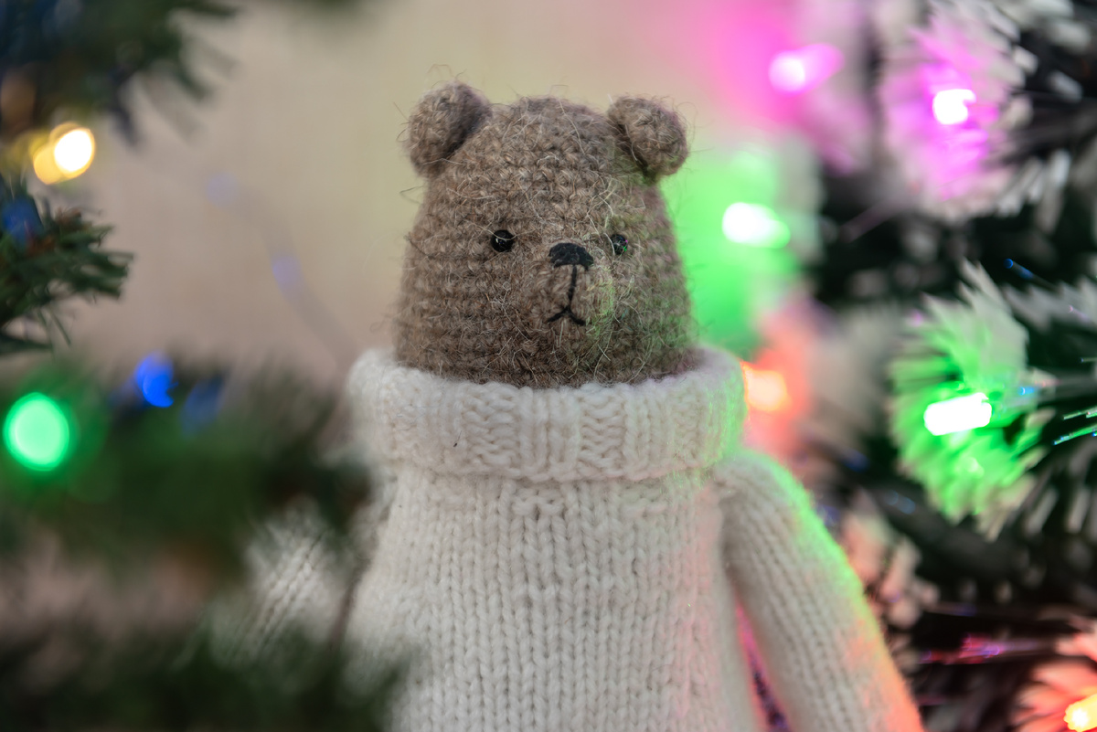 Даже мой медведь Эрнест не знает ответа на этот вопрос