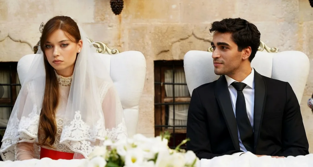 "Зимородок" (Yalı Çapkını). Брак Ферита и Сейран - юридический брак социально и экономически несвободных зависимых людей .