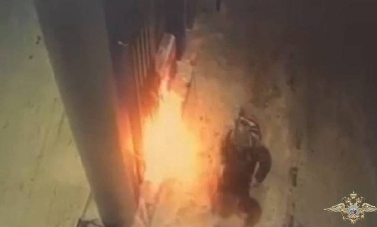    Фото: скриншот видео / Ирина Волк / MAX