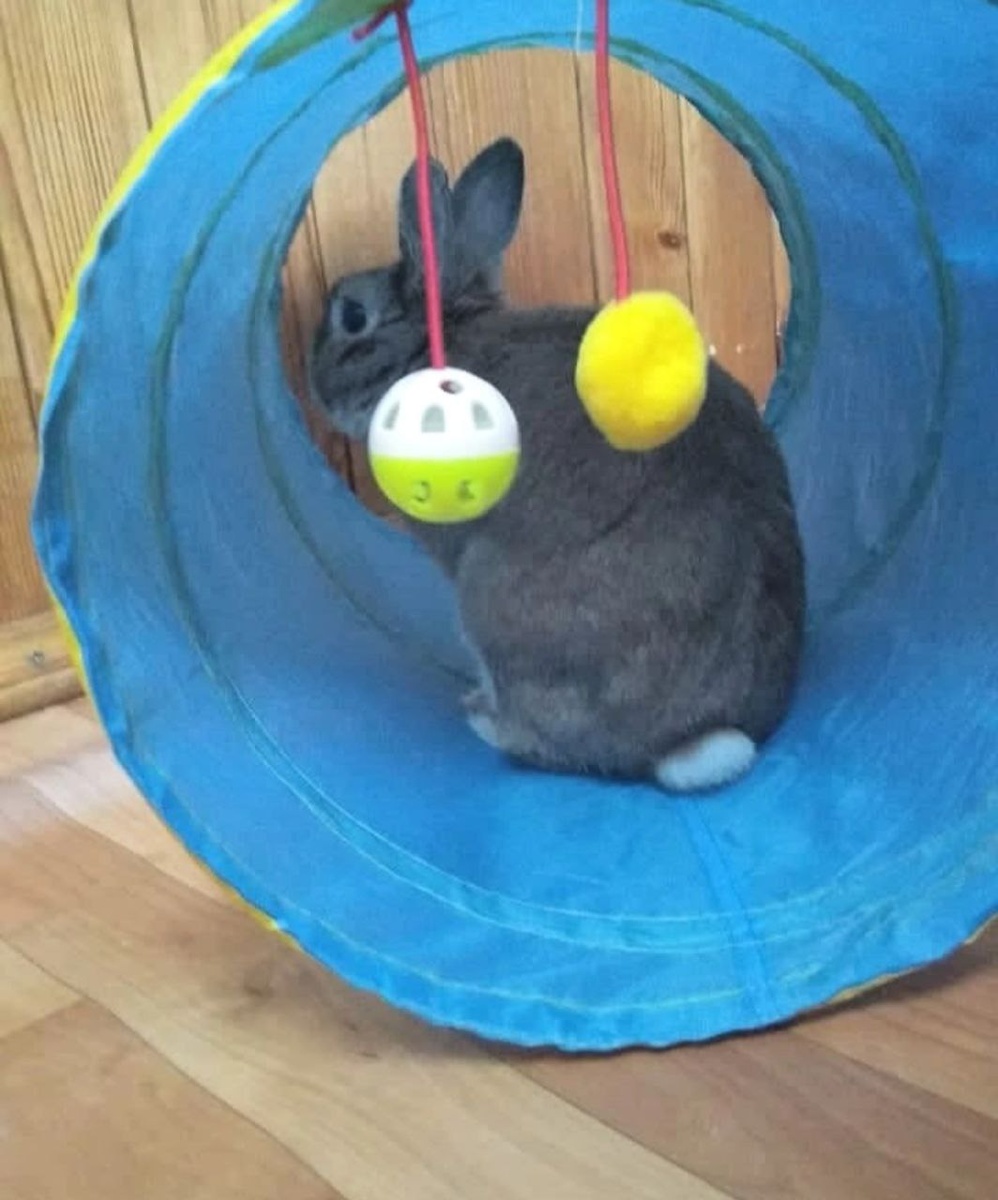 фото еще на старый телефон, качество не очень