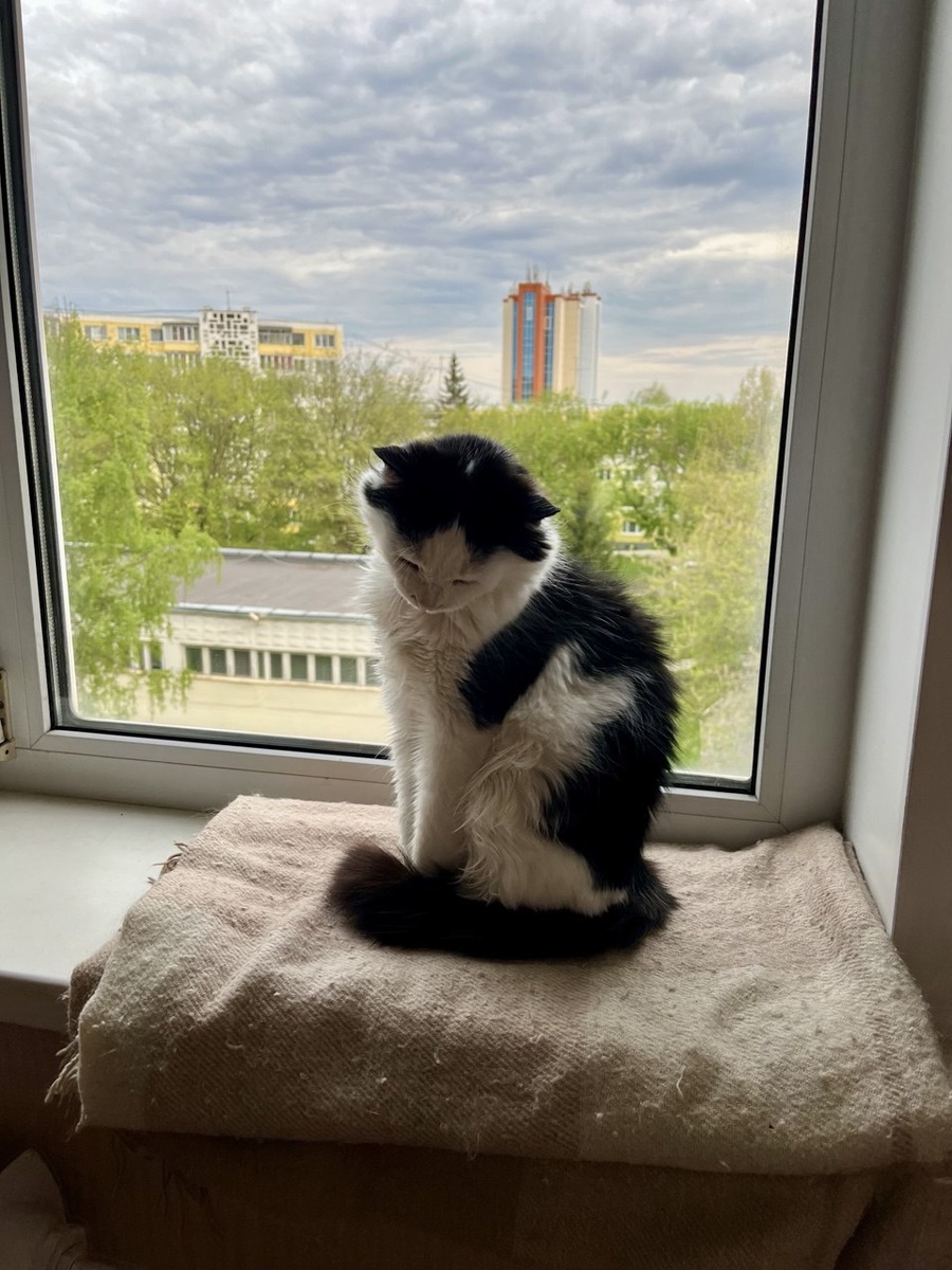 Реакцию видно из окна гостиной. Это летнее фото с Лизой. Она ещё не такая круглая. Смотрите, какая стесняшка милая. 