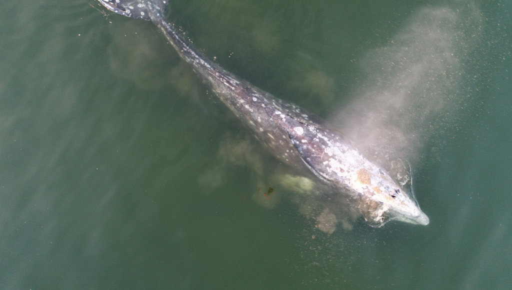    Фото: пресс-служба Минприроды РФ