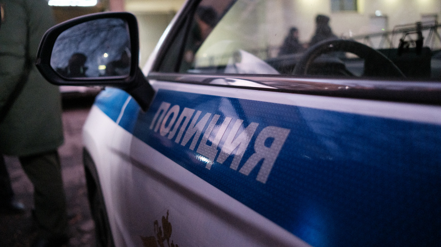    Фото: ИЗВЕСТИЯ/Сергей Виноградов; Ирина Волк/max.ru; 5-tv.ru