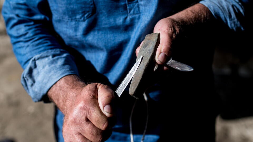 Фото: © Сергей Бобылев/ТАСС