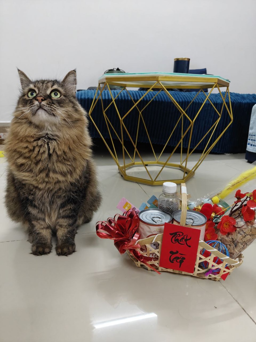 Наш Кузя с подарками на ТЕТ