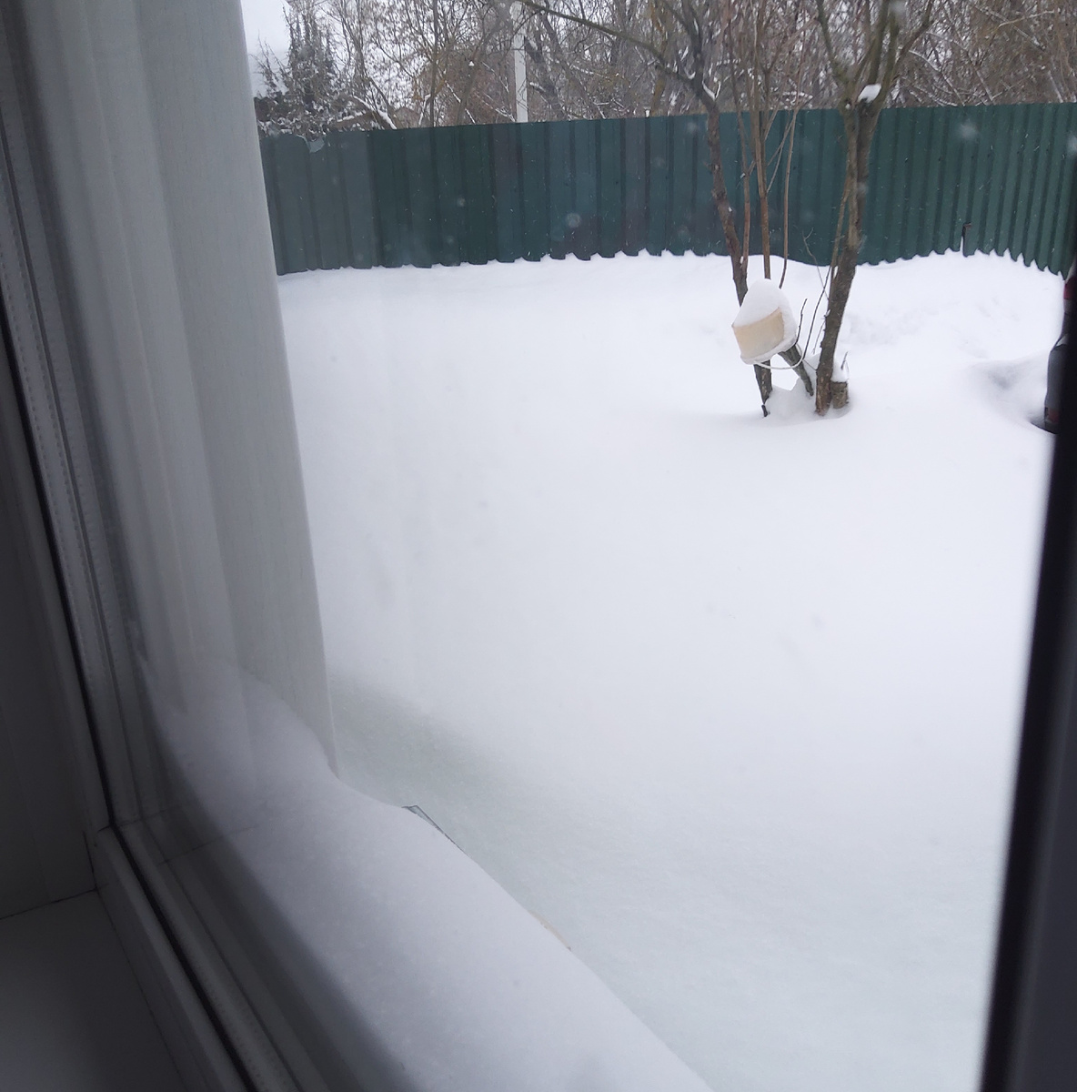 Фото автора.